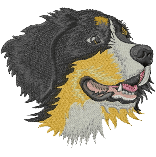 Applique Digitizing